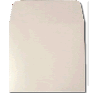 Tyvek CD Sleeve without Window and With Flap 100 Pack - Click Image to Close
