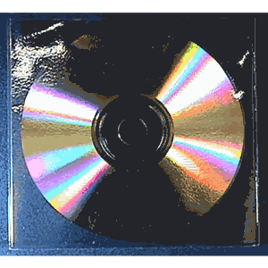 Vinyl CD Sleeve NO Flap 100 Pack - Click Image to Close